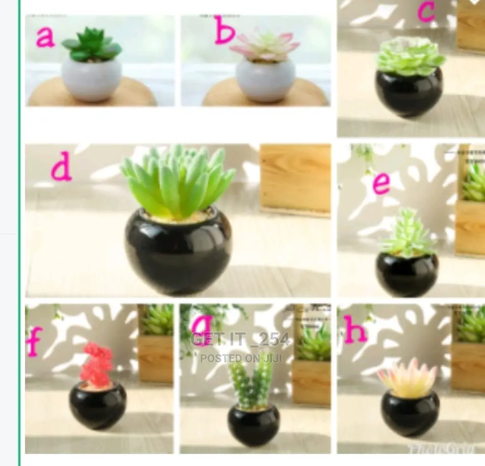 Green Flocking Artificial Succulen Upt Plant 
Home Garden