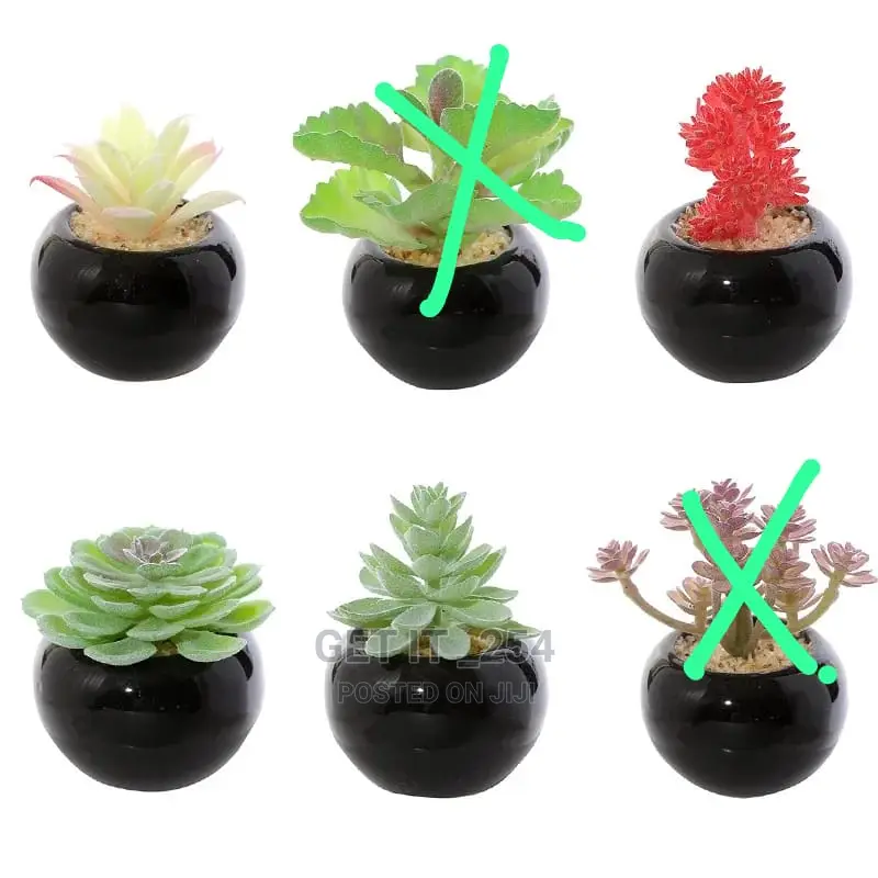 Green Flocking Artificial Succulen Upt Plant 
Home Garden