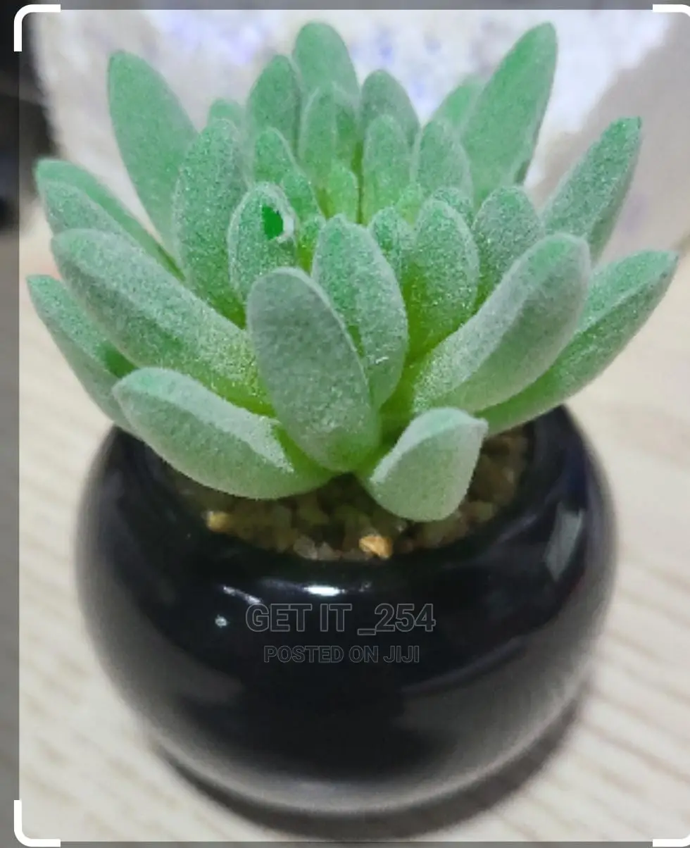 Green Flocking Artificial Succulen Upt Plant 
Home Garden