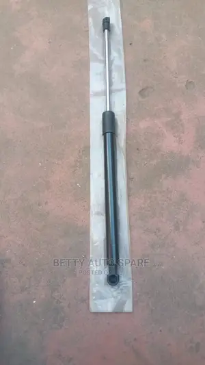 Suzuki Alto Boot Shock
