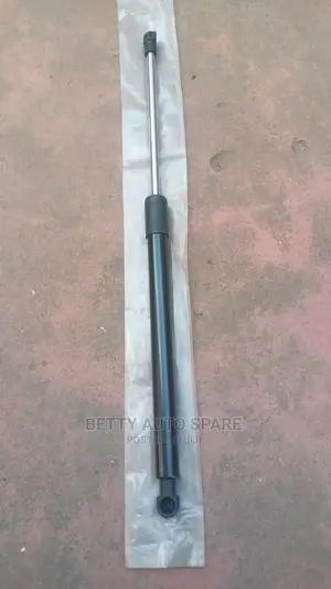 Suzuki Alto Boot Shock