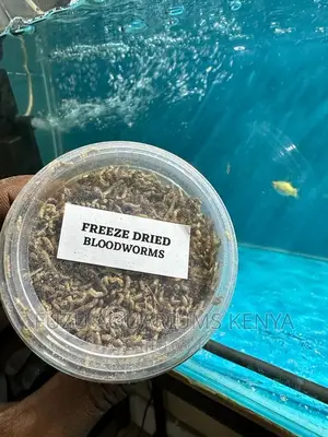 Freesze Dried Bloodworms