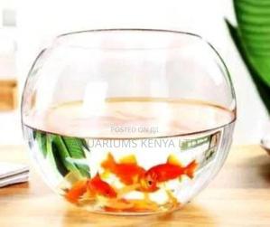 Fish Bowl Aquarium With Fish - thumbnail 2