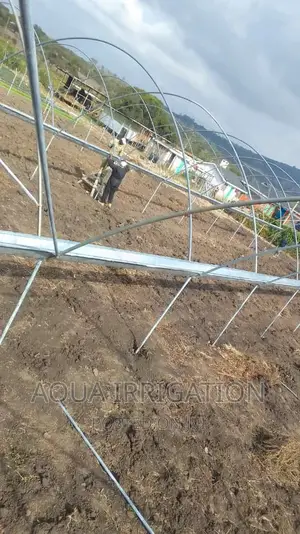 Solar Driers/Greenhouse Structure