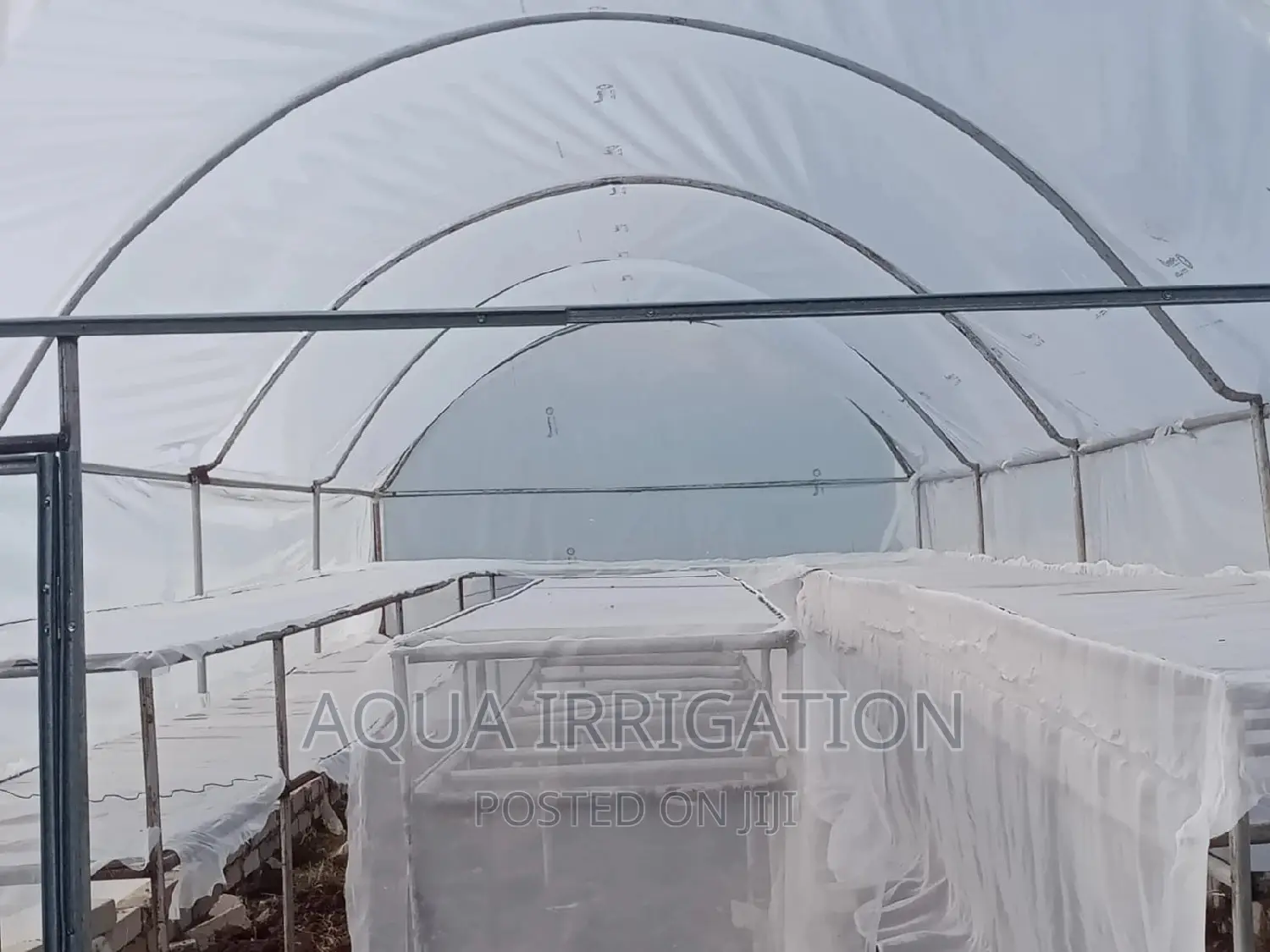 Solar Driers/Greenhouse Structure