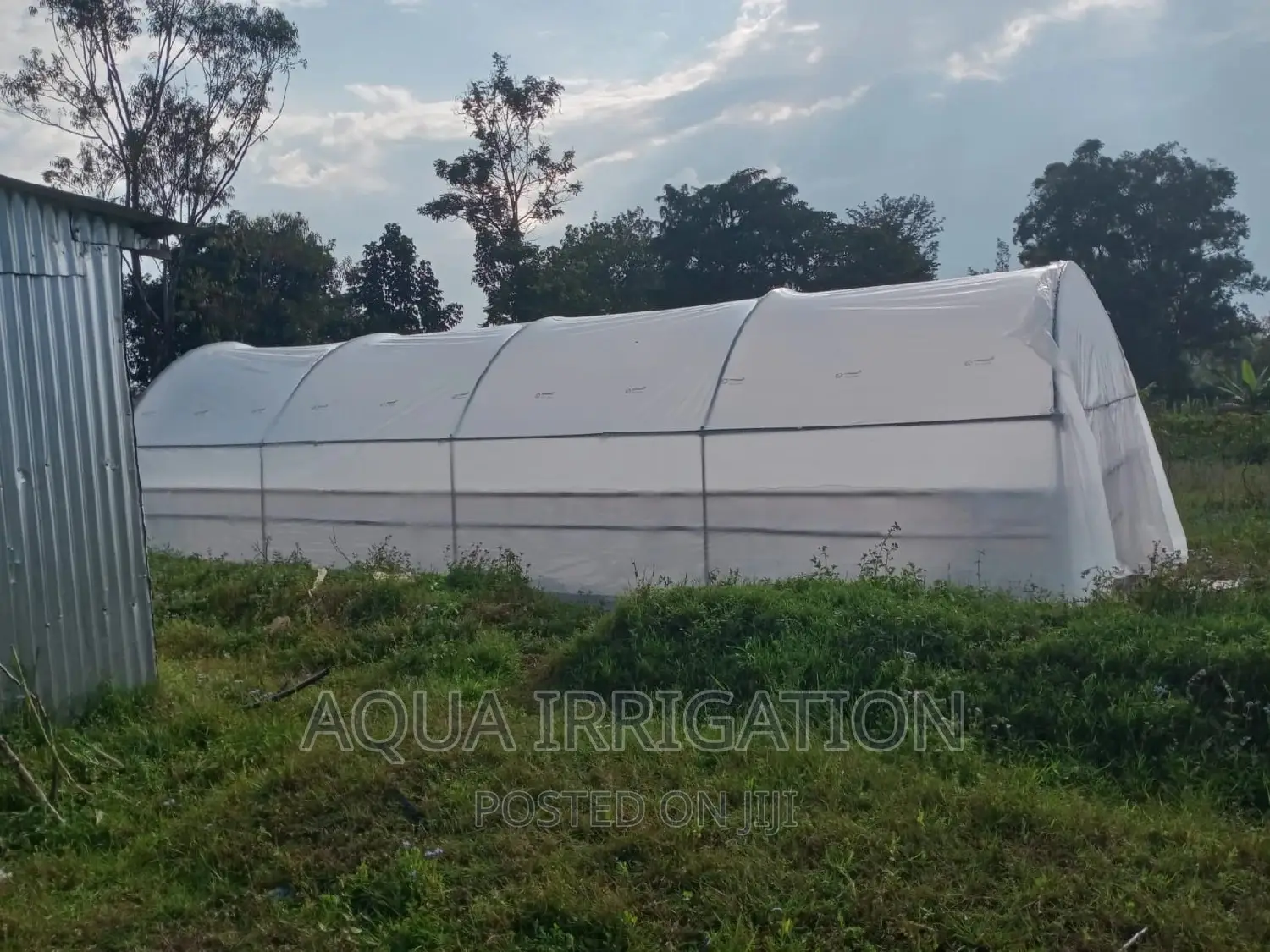 Solar Driers/Greenhouse Structure