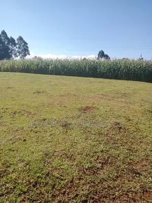 1/2 Acre Kaplelach After Kilombe.