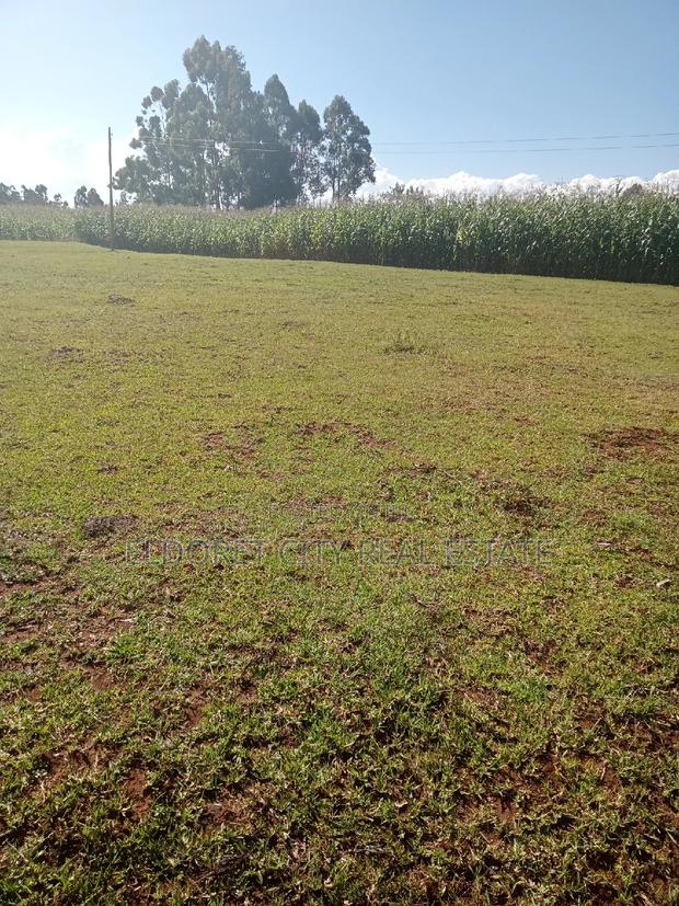 1/2 Acre Kaplelach After Kilombe. - thumbnail 2