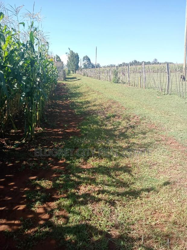 1/2 Acre Kaplelach After Kilombe. - thumbnail 3