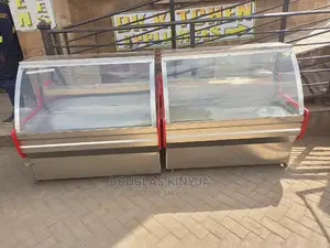 Meat Chiller Display (1.2m Stainless Steel Made):