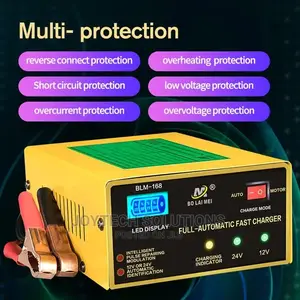 Universal Battery Charger, 12/24v