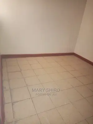 1bdrm Apartment in South B for rent