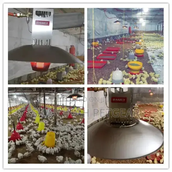 Damly Gas Brooder Chicken Farm LNG/Natural Gas Heated Broode