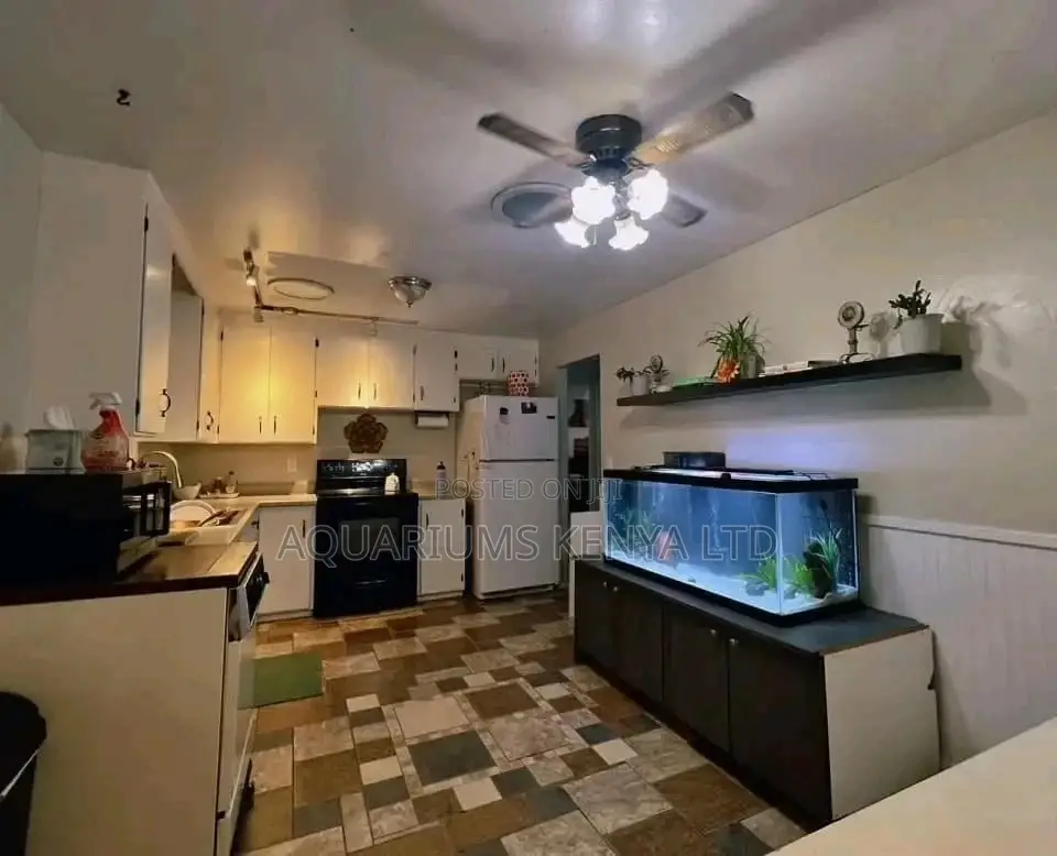 Kitchen Back Aquarium