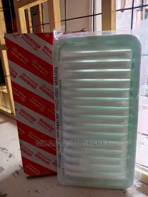 Genuine Air Cleaner