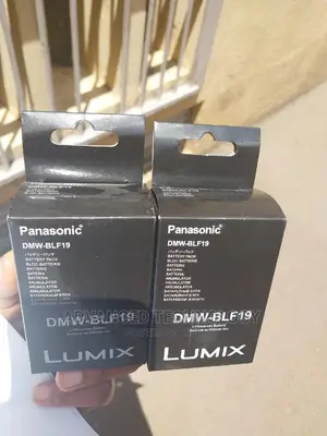 Panasonic DMW-BLF19 Battery for Gh4,GH5,GH3 Camera