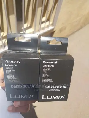 Panasonic DMW-BLF19 Battery for Gh4,GH5,GH3 Camera