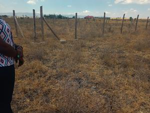 Prime Plots in Joska - thumbnail 2