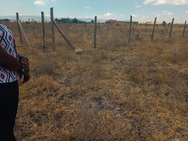Prime Plots in Joska - main view