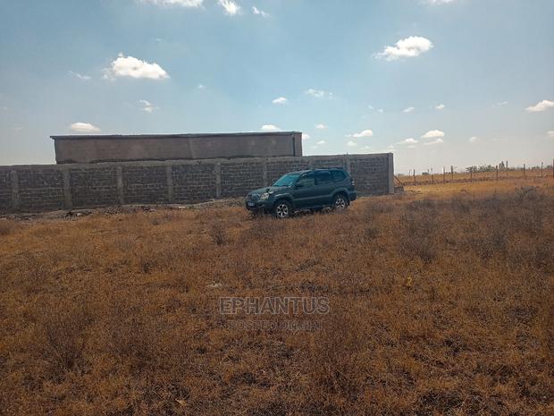 Prime Plots in Joska - thumbnail 4