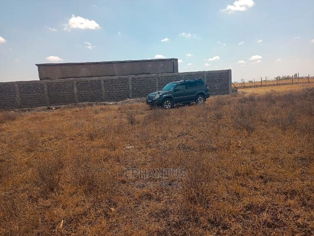 Prime Plots in Joska - thumbnail 5