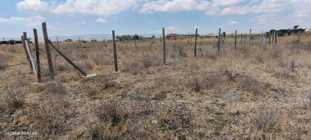 Prime Plots in Joska - thumbnail 6