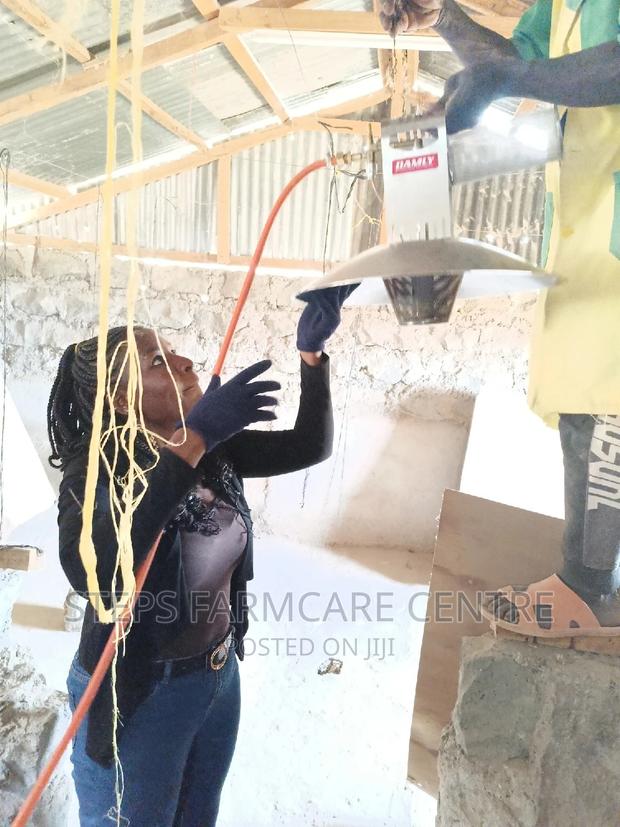 Damly Brand Gas Chick Warmers - thumbnail 2