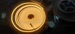 12vdc Neon Light