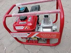 Windsor Normal Pressure 2" Pump