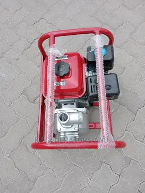 Windsor Normal Pressure 2" Pump