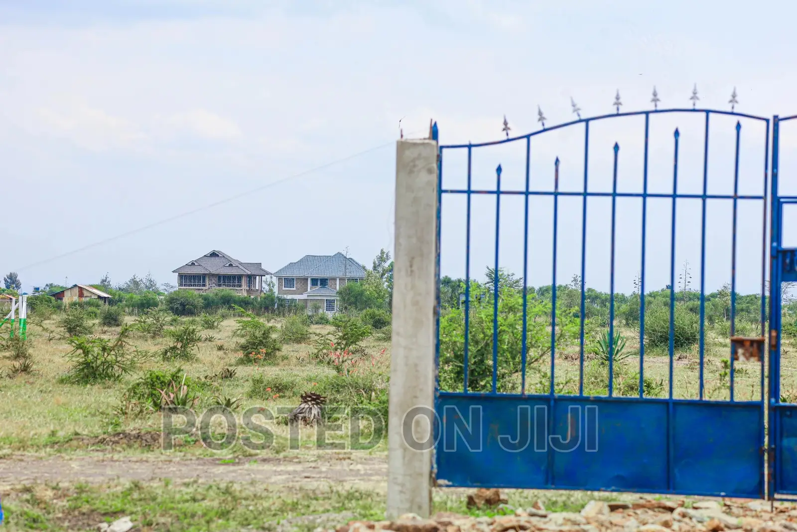Prime Plots in Kamakis Area^Ek