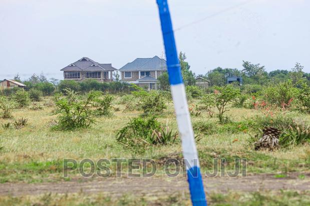 Prime Plots in Kamakis Area^Ek - thumbnail 3