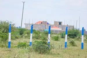 Prime Plots in Kamakis Area^Ek