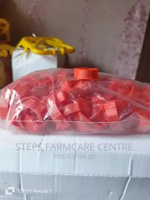 Numbered Chicken Leg Bands