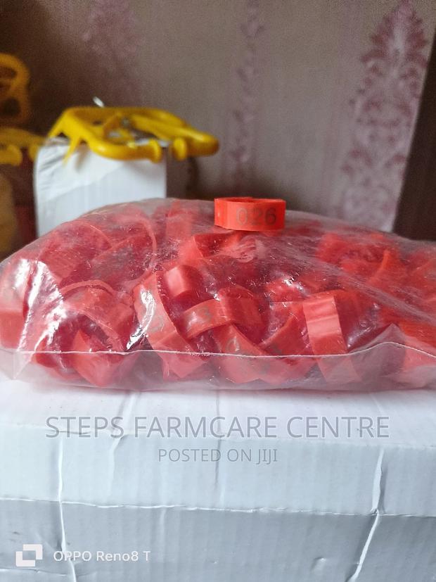 Numbered Chicken Leg Bands - main view