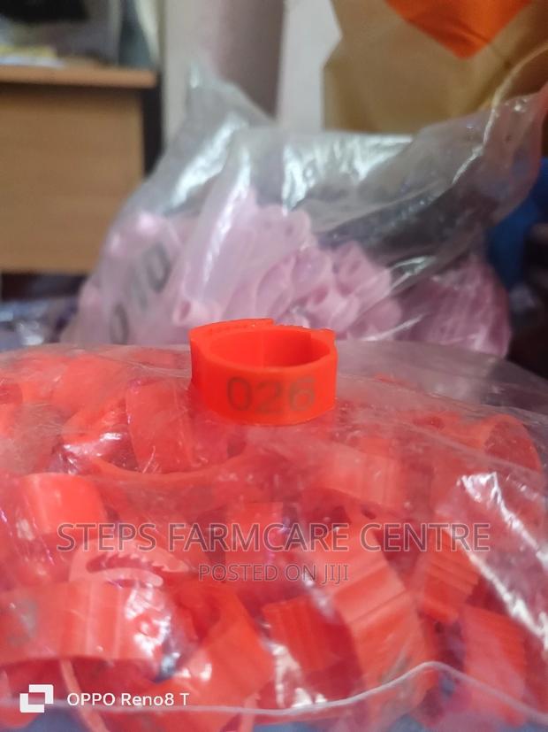 Numbered Chicken Leg Bands - thumbnail 3