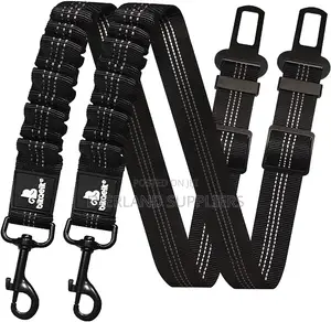 Heavy Duty Leash With Car Buckle