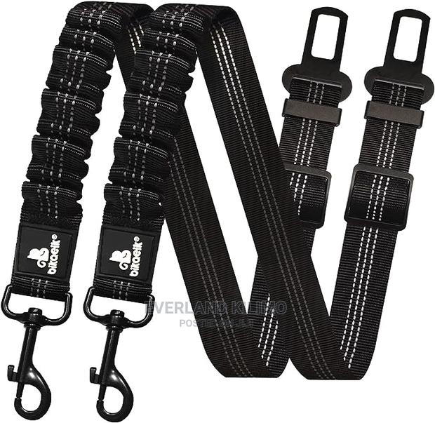 Heavy Duty Leash With Car Buckle