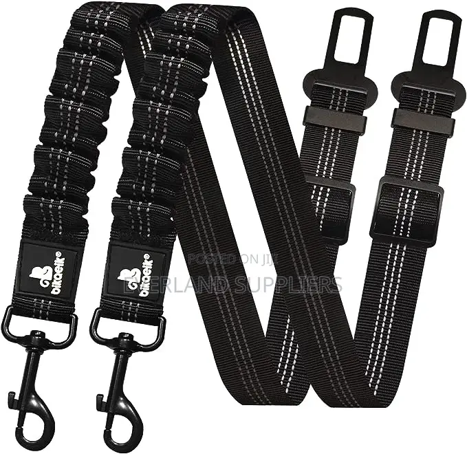 Heavy Duty Leash With Car Buckle
