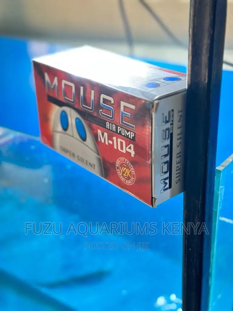 Double Airpump