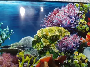 Aquarium Coral Background
