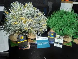 Assorted Laminated Business Cards