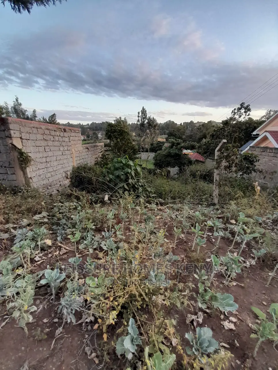 50 by 100 Prime Residential Plot