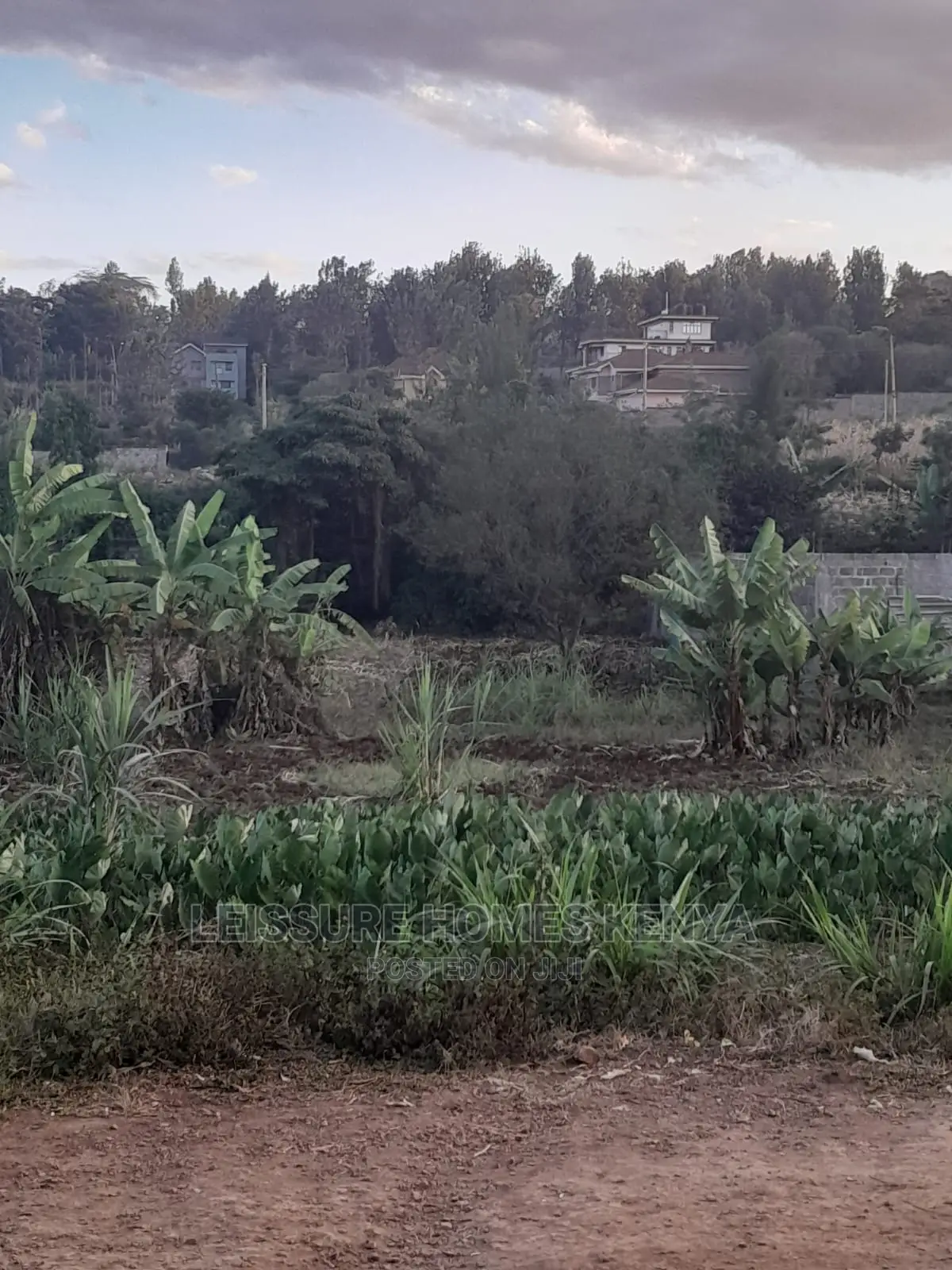 50 by 100 Prime Residential Plot