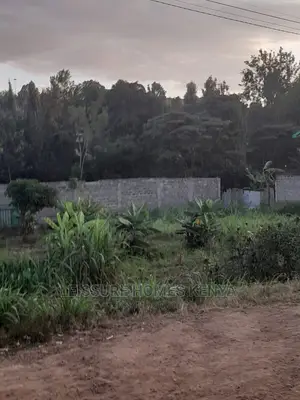 50 by 100 Residential Land