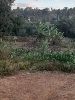 50 by 100 Residential Land