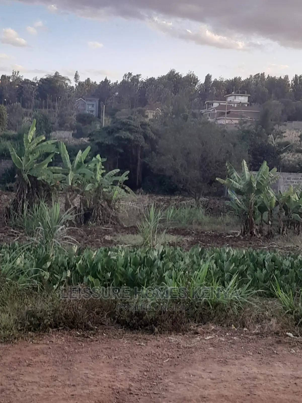 50 by 100 Residential Land