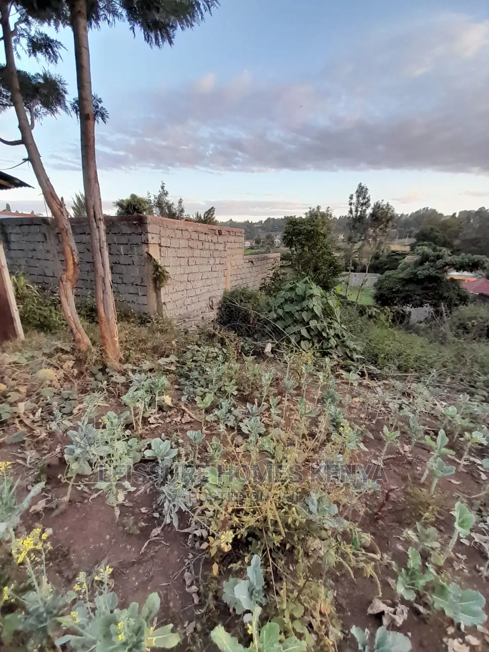 50 by 100 Residential Land