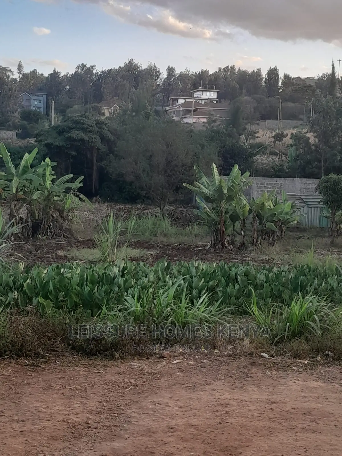 50 by 100 Residential Land
