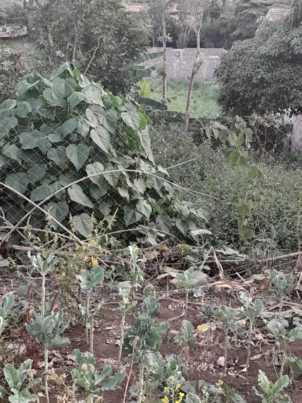 50 by 100 Residential Land - thumbnail 10